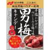 「ノーベル 男梅キャンデー　3個　飴　キャンディ」の商品サムネイル画像2枚目