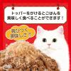 「いなば ツインカップテリーヌ 猫 まぐろ・ささみ かつお節添え（35g×2個）3個 キャットフード ウェット」の商品サムネイル画像4枚目