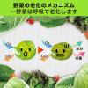「野菜長持ち 新鮮番 野菜室に置くだけ 野菜用 鮮度保持剤 1セット（1個×3）エステー」の商品サムネイル画像7枚目