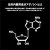 「薬用アデノゲンEX ＜L＞ 300mL×4本 資生堂」の商品サムネイル画像4枚目