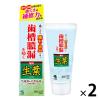 「歯磨き粉 生葉（しょうよう） 歯槽膿漏を防ぐ 薬用ハミガキ ハーブミント味 100g 1セット（2本）小林製薬」の商品サムネイル画像1枚目