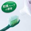 「歯磨き粉 生葉（しょうよう） 知覚過敏症状予防タイプ 歯槽膿漏を防ぐ 薬用ハミガキ ハーブミント味 100g 1セット（2本）小林製薬」の商品サムネイル画像7枚目