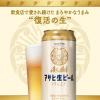 「ビール 缶ビール　アサヒ生ビール マルエフ 500ml 1ケース（24本）※キャンペーン終了」の商品サムネイル画像6枚目