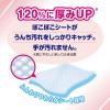 「グーンプラス 汚れすっきりおしりふき（60枚×3個）2パック 大王製紙」の商品サムネイル画像5枚目
