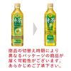 「【トクホ・特保】サントリー 伊右衛門 特茶 500ml 1セット（48本）」の商品サムネイル画像8枚目
