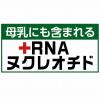 「ハムスタープレミアムフード ゴールデン専用 400g 国産 2袋 ジェックス」の商品サムネイル画像5枚目