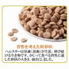 「ハムスタープレミアムフード ドワーフ専用 400g 国産 2袋 ジェックス」の商品サムネイル画像3枚目