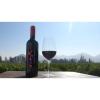 「ナティバ カルメネール 750ml 赤ワイン　1セット（3本）kaisei」の商品サムネイル画像4枚目