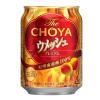 「母の日ギフト 梅酒 チョーヤ CHOYA 梅酒3種アソート 250ml 1ケース（24本）」の商品サムネイル画像3枚目