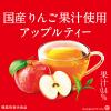「【機能性表示食品】キリンビバレッジ 午後の紅茶アップルティープラス 430ml 1箱（24本入）」の商品サムネイル画像5枚目