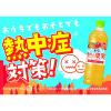 「サントリー サントリー天然水 きりっと果実 オレンジ＆マンゴー 600ml 1セット（6本）」の商品サムネイル画像4枚目