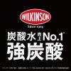 アサヒ飲料 ウィルキンソン タンサン ラベルレスボトル 500ml 1セット（48本）
