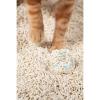 「PIDAN 猫砂 おからミックス チェック顆粒入 2.4kg 1袋」の商品サムネイル画像6枚目