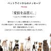 「メディファス 猫用 11歳から チキン味 国産 6kg（500g×12袋）2個 キャットフード ドライ」の商品サムネイル画像10枚目