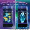 「【アウトレット】クツワ ネオンリウム・宇宙 PT210A 1個」の商品サムネイル画像2枚目