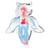 「【アウトレット】クツワ 透明標本せっけんをつくろう・生物 PT211B 1個」の商品サムネイル画像6枚目