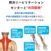 「エレコム（ELECOM） 疲労軽減パームレストFITTIO/ブラック 幅300×奥行60×高さ16mm MOH-FTPBK 1個」の商品サムネイル画像2枚目