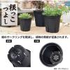 「【園芸用品】アップルウェアー 根っこつよし 8号 ブラック 1個」の商品サムネイル画像5枚目