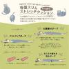 「骨盤 スリム ストレッチクッション かぎのしっぽの猫 1個 FUJIEI エクサイズ カバー付き 骨盤矯正 まくら 足置き 腰枕 動物柄 かわいい」の商品サムネイル画像3枚目
