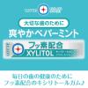 「キシリトールガム+フッ素＜ペパーミント＞ 1セット（1個×10） ロッテ」の商品サムネイル画像3枚目