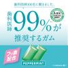 「キシリトールガム+フッ素＜ペパーミント＞スリムボトル 1セット（1個×6） ロッテ」の商品サムネイル画像5枚目