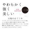 「【アウトレット】林 バスタオル ユニオンカラー ブルー BH700601 1枚」の商品サムネイル画像2枚目