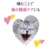「（バラエティパック）モンプチ クリスピーキッス 4種のシーフード 312g（6g×52袋）8袋 大容量 ネスレ日本 猫用 おやつ」の商品サムネイル画像8枚目