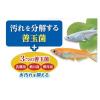 「メダカ元気 プロバイオフードクリア 40g 1個 ジェックス 新入荷」の商品サムネイル画像3枚目