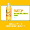 「大塚食品 マッチ ビタミンみかん 500ml 1箱（24本入）」の商品サムネイル画像5枚目
