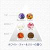 「ファブリーズ 消臭芳香剤 玄関用 ホワイト・ティー＆リリー 1パック（本体ケース+詰替2個） P＆G」の商品サムネイル画像8枚目