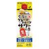 「【在庫処分】國盛 今夜のグレープフルーツサワーの素 パック 500ml 1セット（1本×12） 中埜酒造 リキュール 割り材」の商品サムネイル画像2枚目