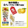 「【在庫処分】國盛 今夜のグレープフルーツサワーの素 パック 500ml 1セット（1本×12） 中埜酒造 リキュール 割り材」の商品サムネイル画像3枚目