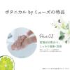 「ボタニカル by ミューズ ノータッチ 泡ハンドソープ ホワイトリリー＆ベルガモット 付替 250ml 1セット（1個×3） 【泡タイプ】」の商品サムネイル画像8枚目