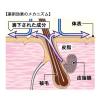 「ドギーマン 薬用ペッツテクト+ フォースガード 中型犬用 3本入 1個」の商品サムネイル画像9枚目