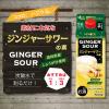 「HiNODE ジンジャーサワーの素 20度 500ml 1本 しょうが 生姜 ジンジャー 国産素材 高知県産 約10杯分」の商品サムネイル画像3枚目