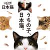 「ラシーネ 日本猫 かつお節＆まぐろ節入り 国産 1.18kg（236g×5袋） 1セット（1袋×3）日本ペットフード」の商品サムネイル画像8枚目
