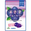 「木更津ブルーベリーグミラブレ乳酸菌入 グミ ご当地 1セット（1個×2） カネカ食品」の商品サムネイル画像2枚目