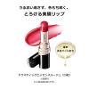 「マキアージュ ドラマティックエッセンスリップケア 3.8g 資生堂」の商品サムネイル画像5枚目