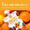 「スムージーレンジャー YELLOW（みかんとマンゴーと野菜）　1セット（1個（80g）×3）　カインデスト」の商品サムネイル画像6枚目
