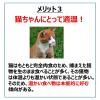 「にゃんチュラル 香リッチ 鶏肉の豆乳チーズ風味 国産 40g 6袋 はごろもフーズ キャットフード パウチ 新商品」の商品サムネイル画像8枚目