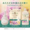 「キレイキレイ 薬用 ハンドコンディショニングソープ 泡 木漏れ日の香り 本体 450ml 1個 ハンドソープ 殺菌 保湿 ライオン【泡タイプ】」の商品サムネイル画像8枚目