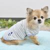 「Jekyll Egg（ジキルエッグ）ボーダーTシャツ S ブルー 1個 犬用 アルク・ロース」の商品サムネイル画像3枚目
