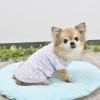 「Jekyll Egg（ジキルエッグ）ドットTシャツ S パープル 1個 犬用 アルクロース」の商品サムネイル画像3枚目
