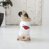 「【アウトレット】Dulce Dog（ドゥルチェドッグ）おばけタンク S オフホワイト 1個 犬用 アルクロース」の商品サムネイル画像3枚目