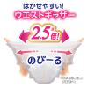 「メリーズ おむつ パンツ Ｍサイズ（6〜11kg）1セット（1パック（62枚入）×3） エアスルー 男女共用 花王」の商品サムネイル画像7枚目