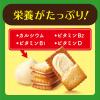 「ビスケット クリームサンドクッキー 個包装 お配り菓子 ビスコ 焼きりんご 5枚×3パック入 1セット(1箱×3)」の商品サムネイル画像3枚目