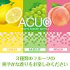 「ロッテ ACUO ＜フルーツアソートボトル＞ 138g 1個 アクオ ガム ボトルガム」の商品サムネイル画像3枚目