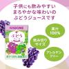 「カゴメ 果汁100％ぶどうジュース 100ml 1箱（18本入）【紙パック】 オリジナル」の商品サムネイル画像4枚目