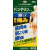 「バンテリンコーワ液α 45g 2箱セット 興和 ★控除★ 痛み止め 塗り薬 筋肉痛 肩こり痛 腰痛【第2類医薬品】」の商品サムネイル画像2枚目