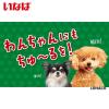 「（セール）いなば ちゅーるごはん 犬 とりささみ＆チーズ 総合栄養食 国産（14g×4本）20袋 ちゅ〜る ドッグフード ウェット」の商品サムネイル画像5枚目